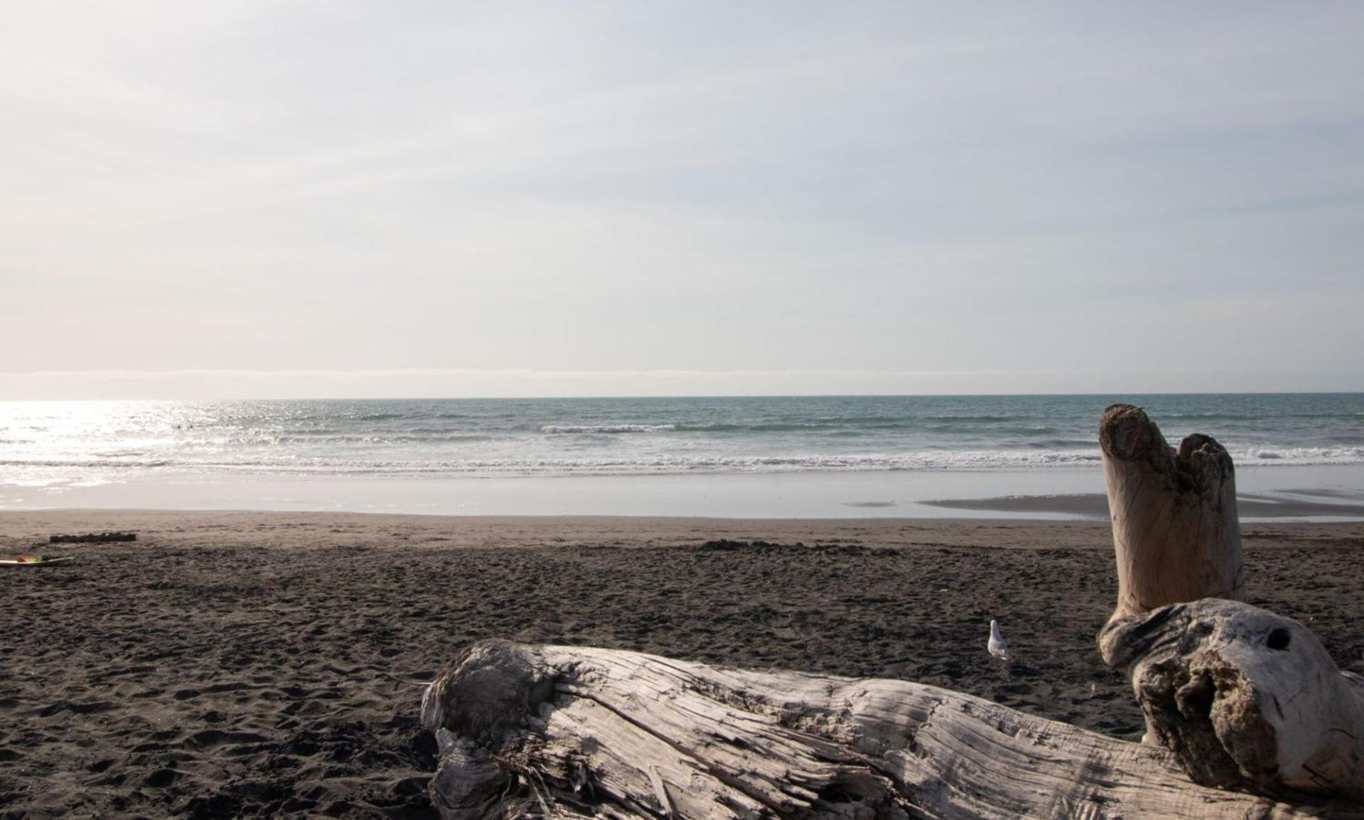 The Dunes At Fitzroy Beach Unit 2 New Plymouth Buitenkant foto